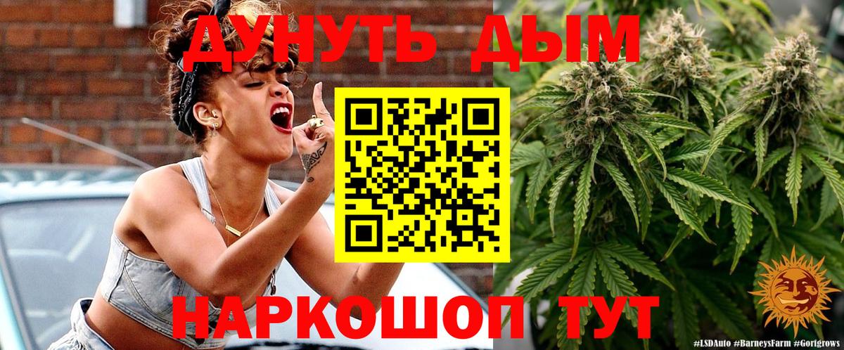 Конопля OG Kush Пугачёв
